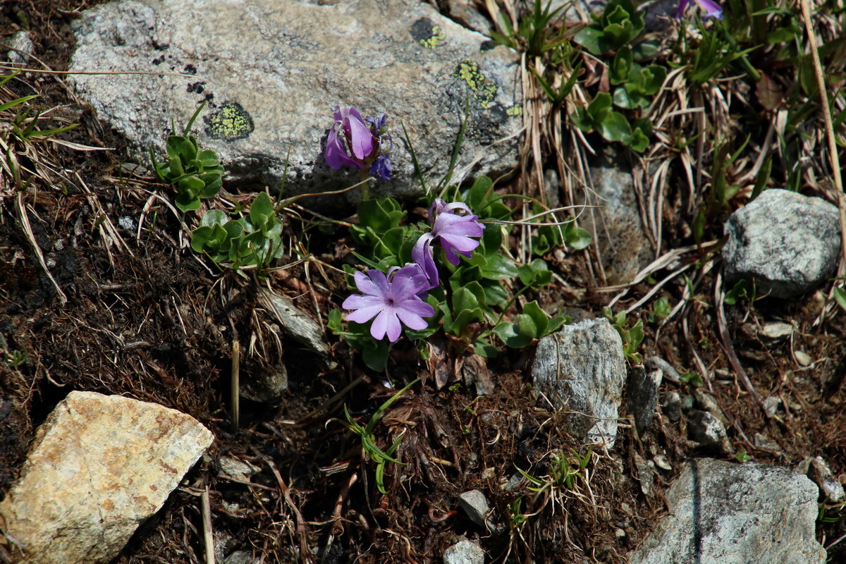 2016_06_29_020492p_Bildgr��e �ndern