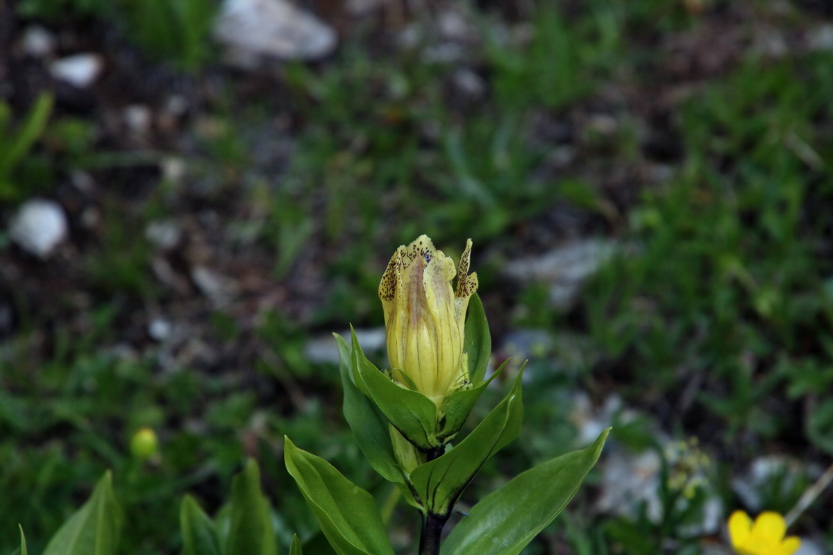 2016_06_29_020496p_Bildgr��e �ndern