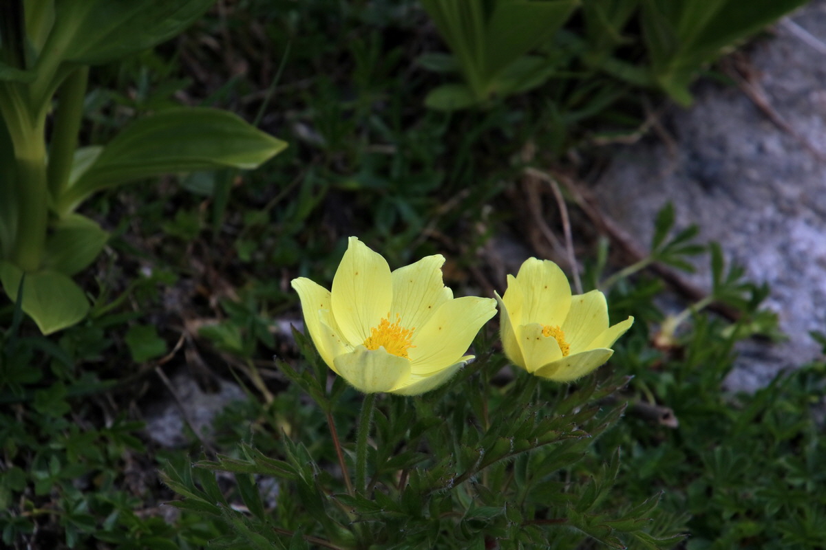 2016_06_29_020499p_Bildgr��e �ndern