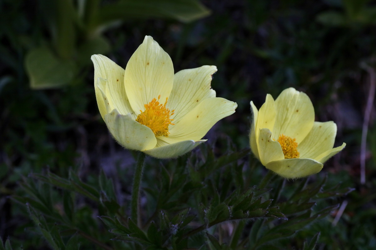 2016_06_29_020502p_Bildgr��e �ndern