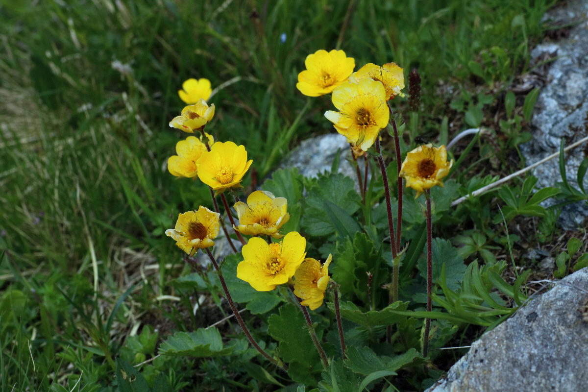 2016_06_29_020508p_Bildgr��e �ndern