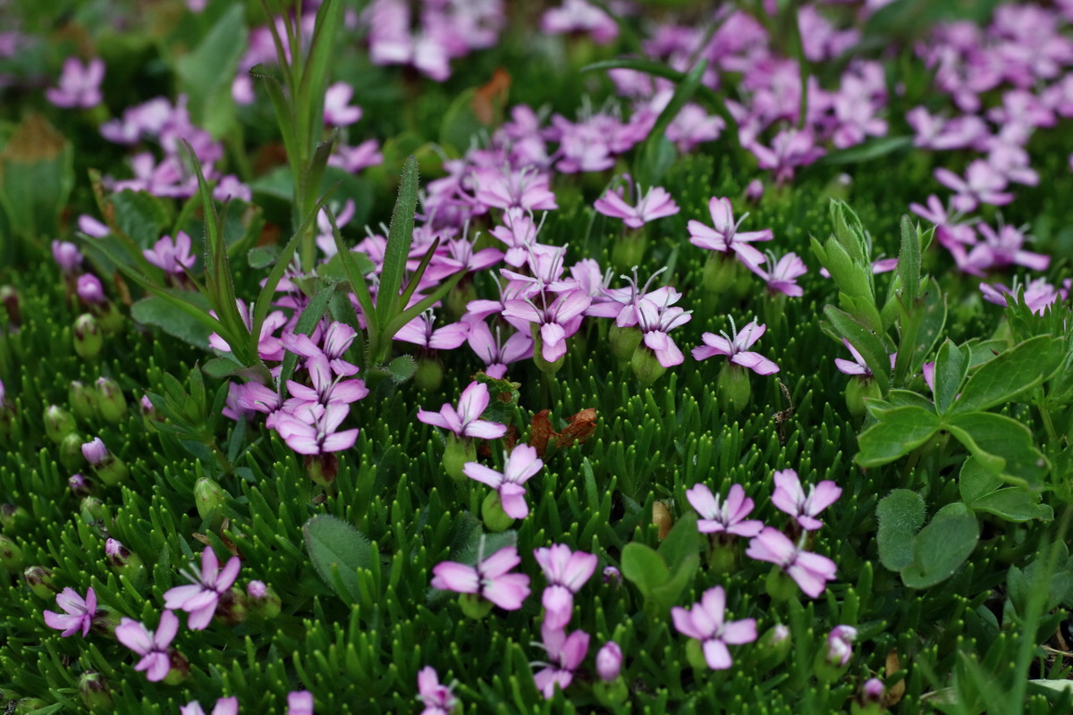 2016_06_29_020510p_Bildgr��e �ndern