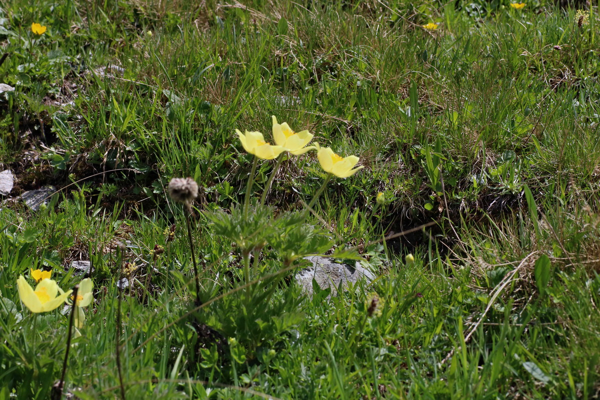 2016_06_29_020515p_Bildgr��e �ndern