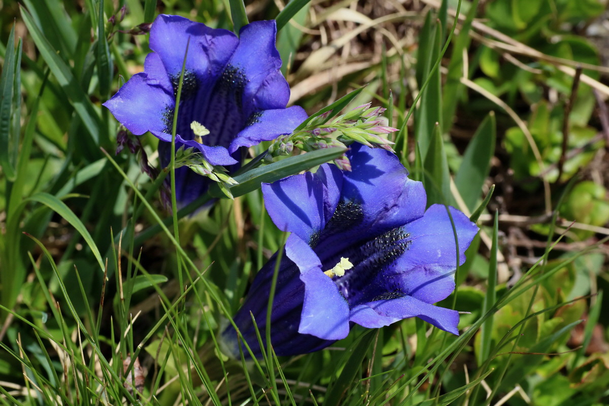 2016_06_29_020517p_Bildgr��e �ndern