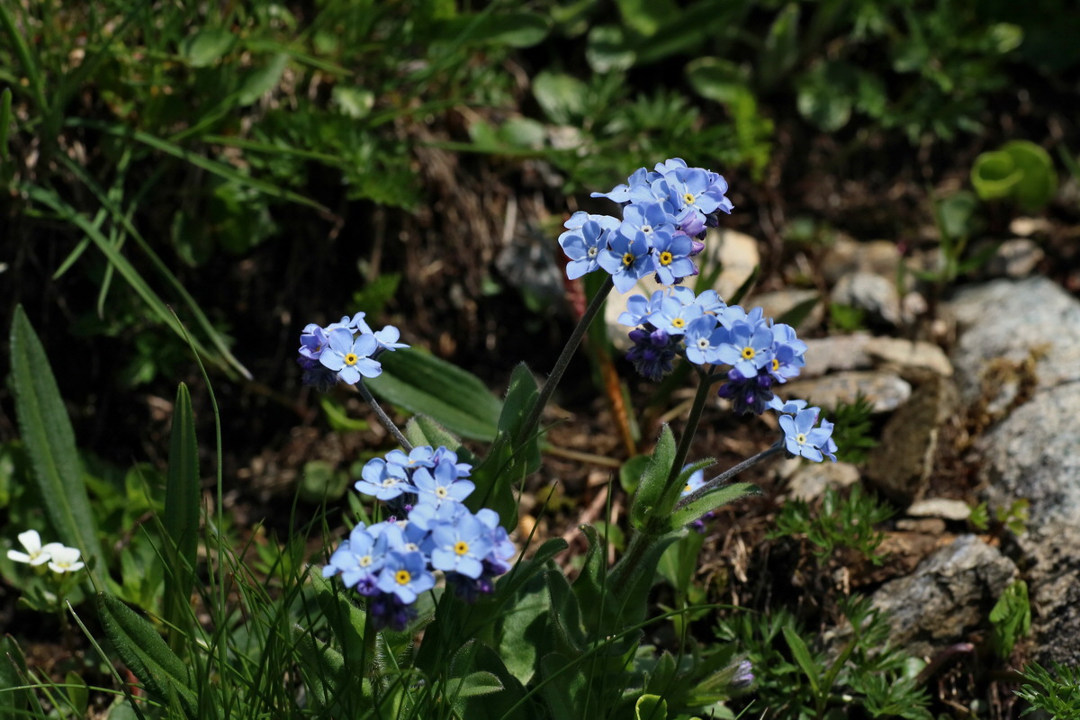 2016_06_29_020521p_Bildgr��e �ndern