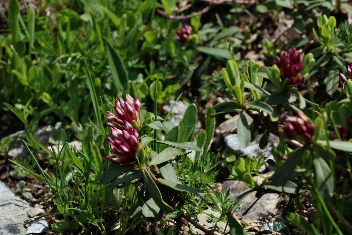 2016_06_29_020523p_Bildgr��e �ndern