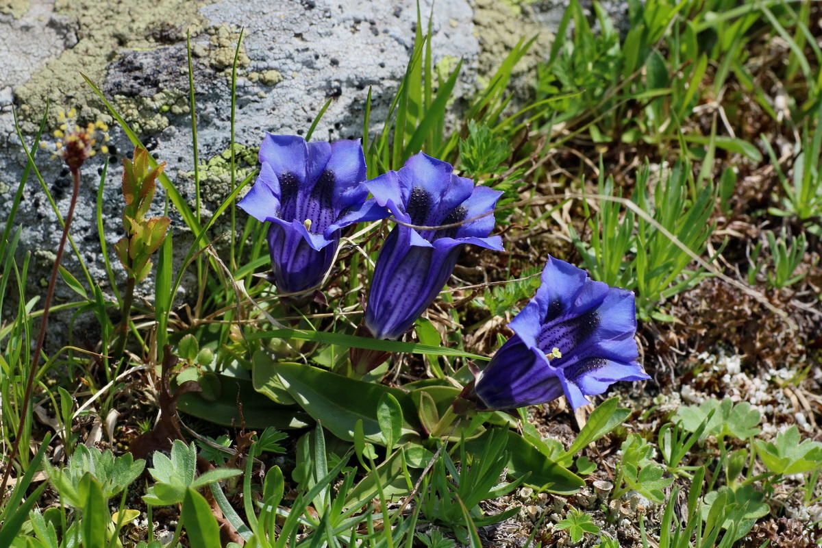 2016_06_29_020528p_Bildgr��e �ndern