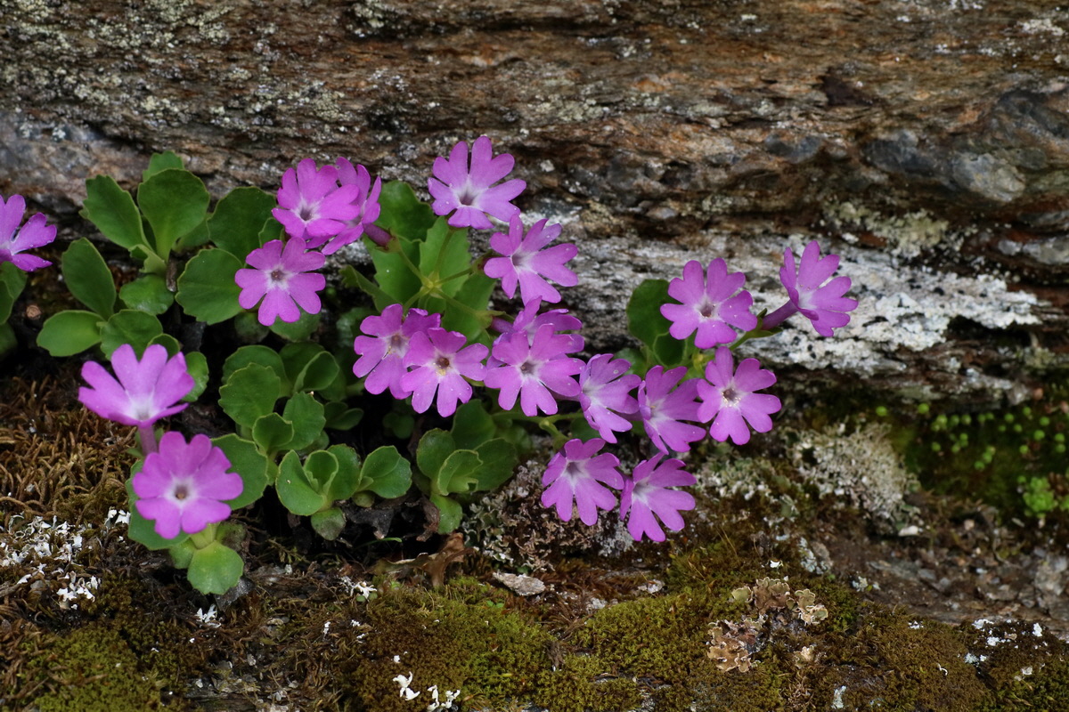 2016_06_29_020531p_Bildgr��e �ndern