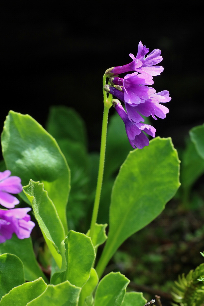 2016_06_29_020539p_Bildgr��e �ndern