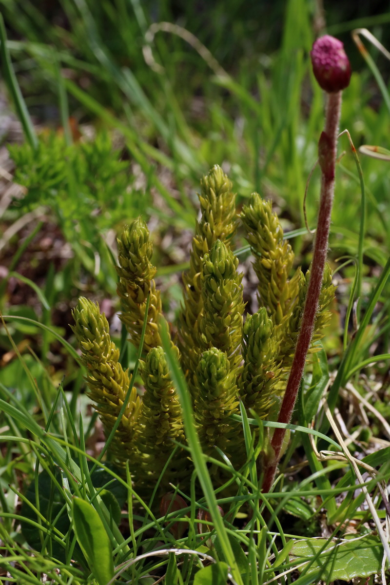 2016_06_29_020542p_Bildgr��e �ndern