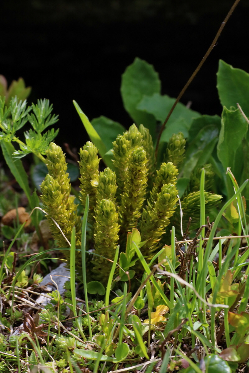 2016_06_29_020545p_Bildgr��e �ndern