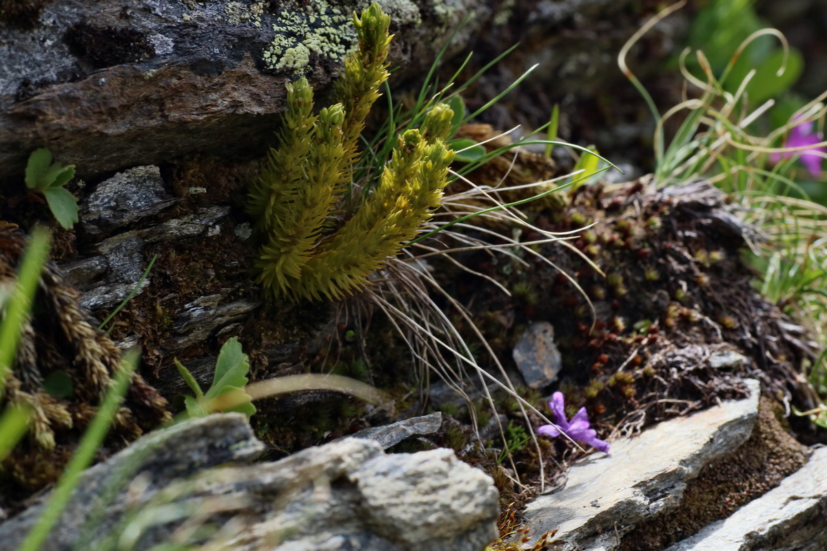 2016_06_29_020548p_Bildgr��e �ndern