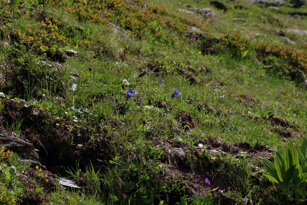 2016_06_29_020553p_Bildgr��e �ndern