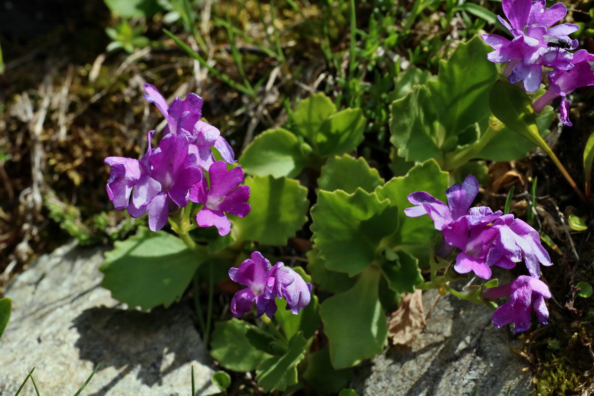 2016_06_29_020555p_Bildgr��e �ndern