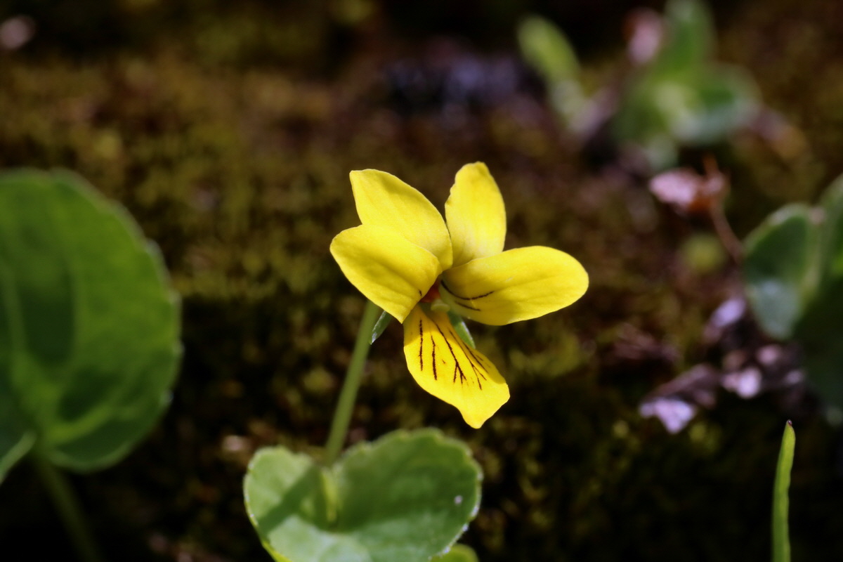 2016_06_29_020557p_Bildgr��e �ndern