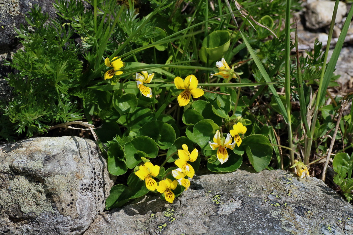 2016_06_29_020572p_Bildgr��e �ndern