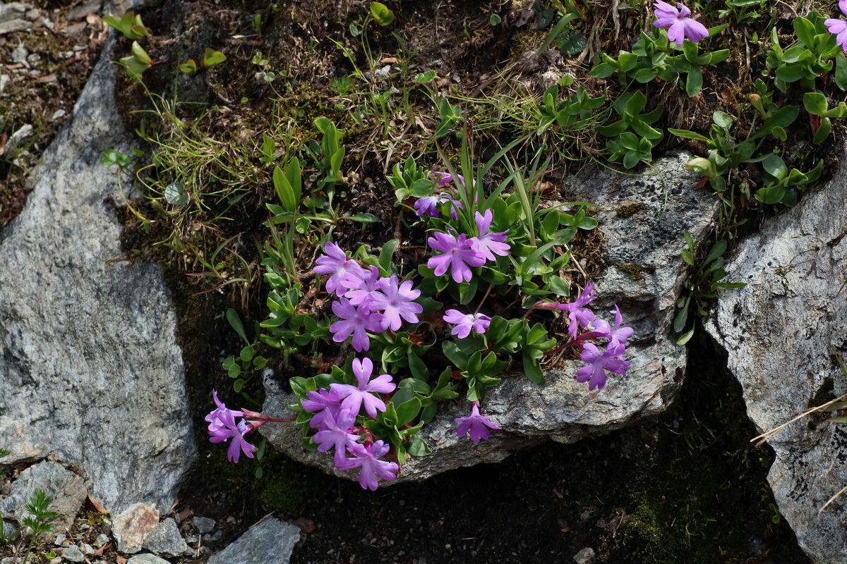 2016_06_29_020577p_Bildgr��e �ndern