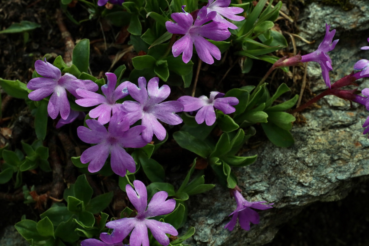 2016_06_29_020581p_Bildgr��e �ndern