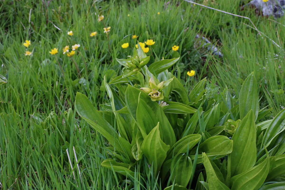 2016_06_29_020584p_Bildgr��e �ndern