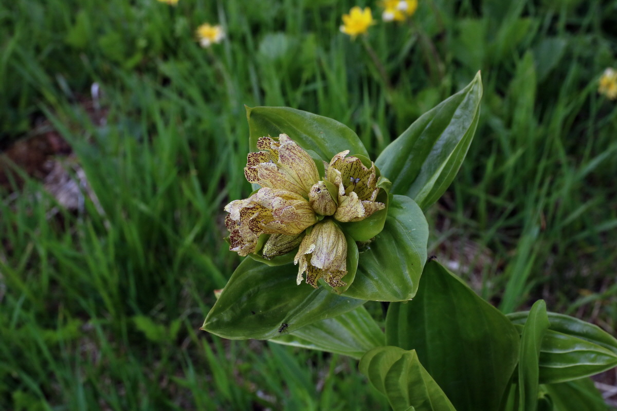 2016_06_29_020588p_Bildgr��e �ndern