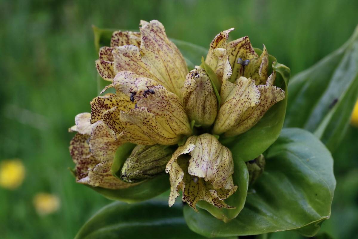 2016_06_29_020591p_Bildgr��e �ndern