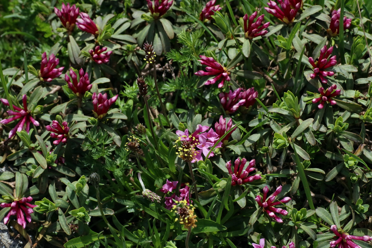 2016_06_29_020598p_Bildgr��e �ndern