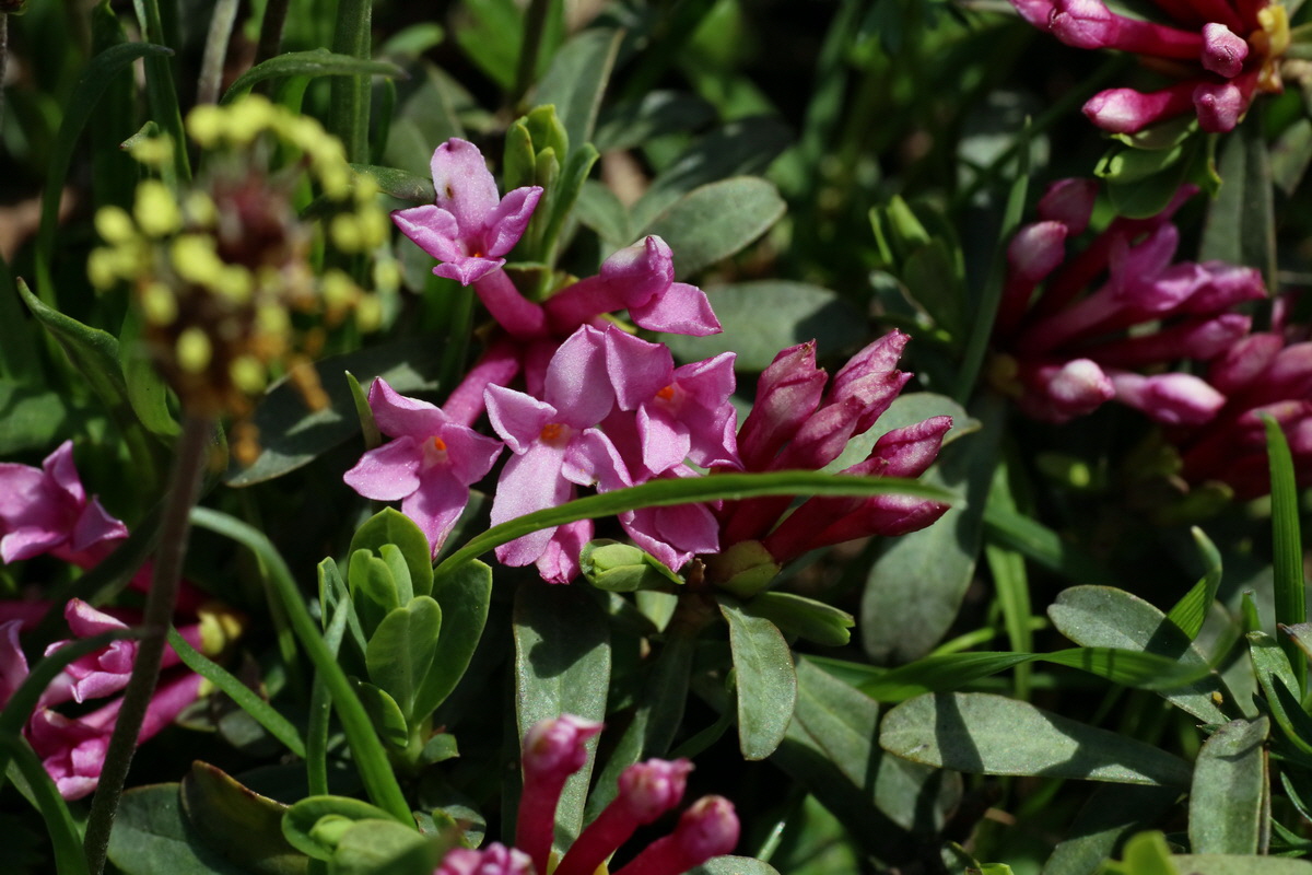 2016_06_29_020601p_Bildgr��e �ndern