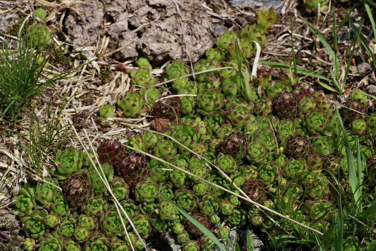 2016_06_29_020605p_Bildgr��e �ndern