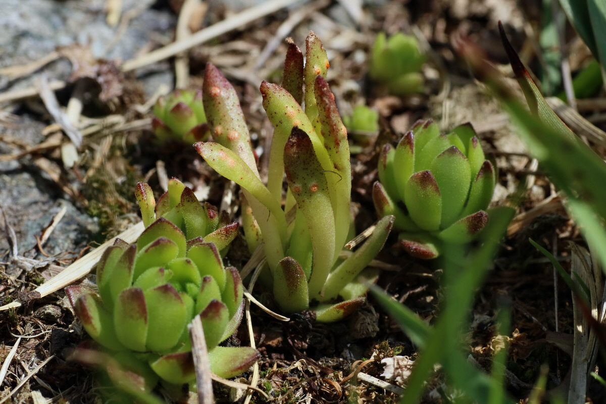 2016_06_29_020606p_Bildgr��e �ndern