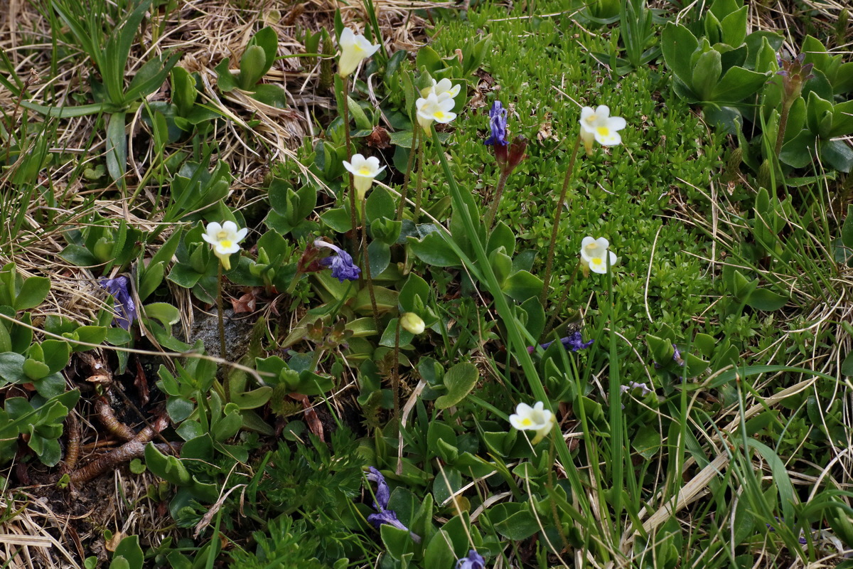 2016_06_29_020610p_Bildgr��e �ndern