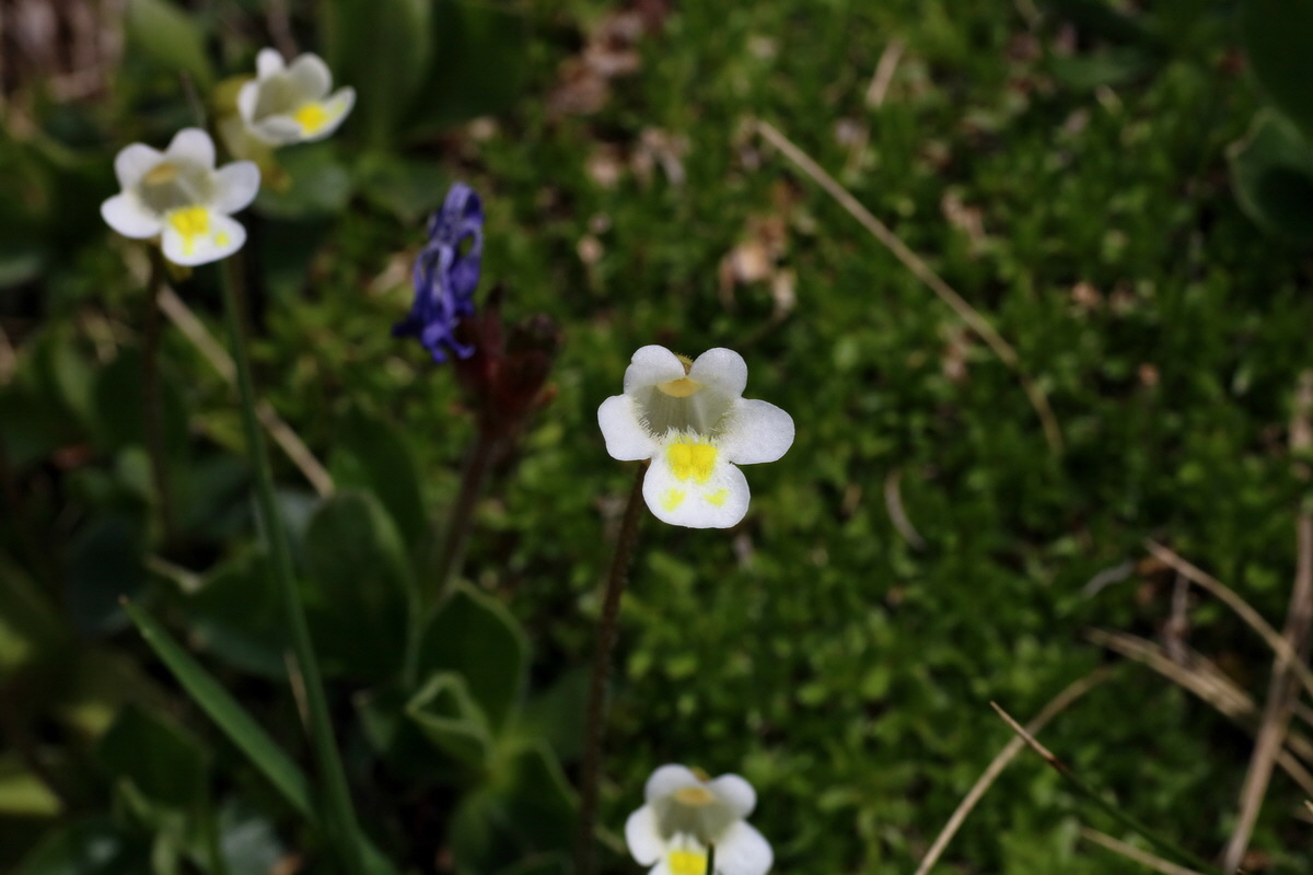 2016_06_29_020612p_Bildgr��e �ndern