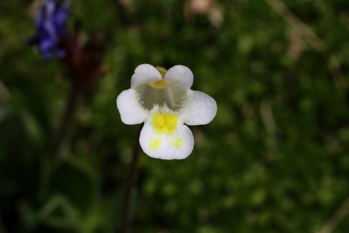 2016_06_29_020614p_Bildgr��e �ndern