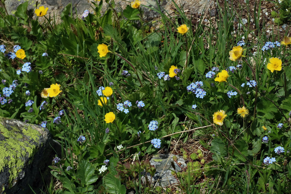 2016_06_29_020618p_Bildgr��e �ndern