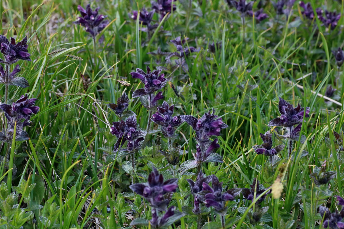 2016_06_29_020623p_Bildgr��e �ndern