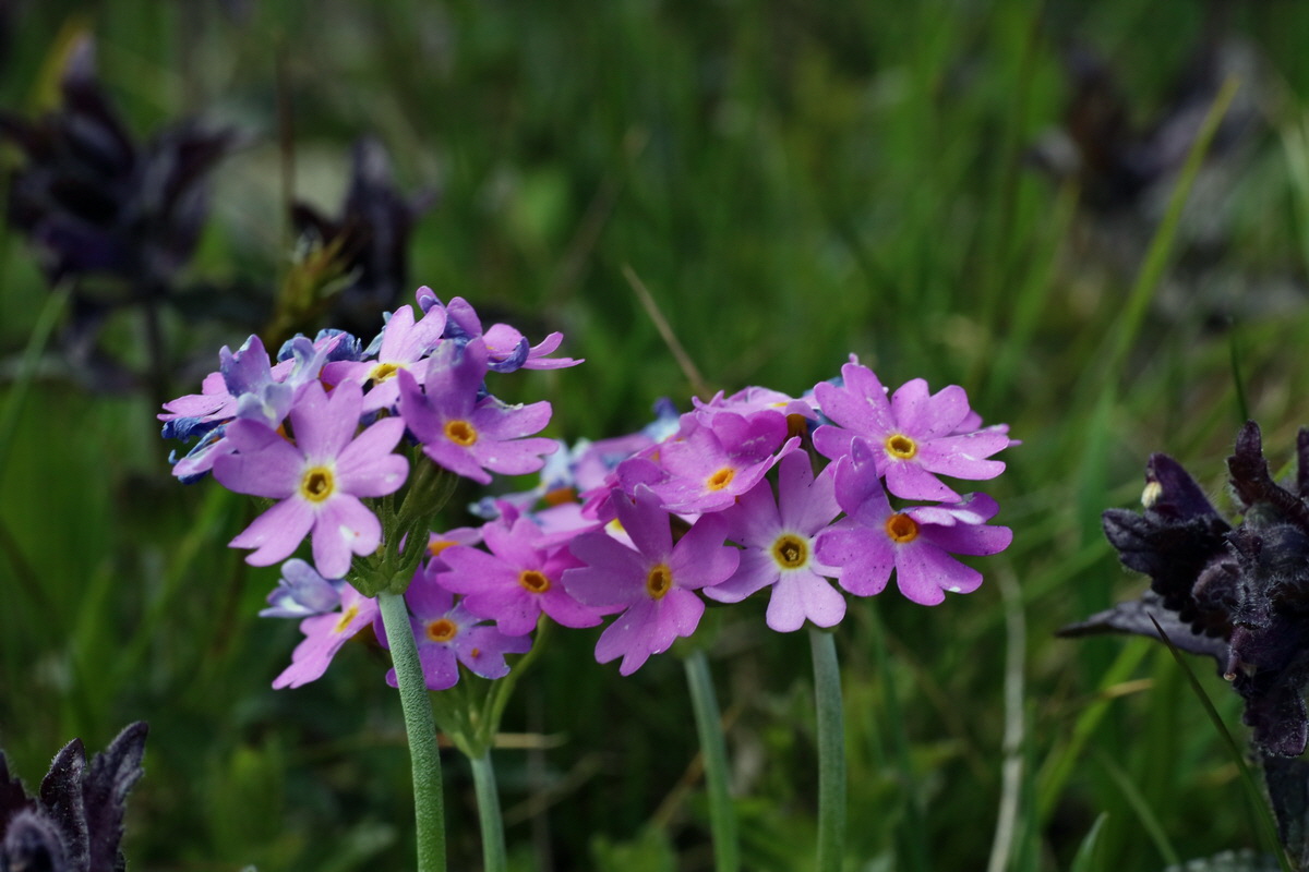 2016_06_29_020630p_Bildgr��e �ndern