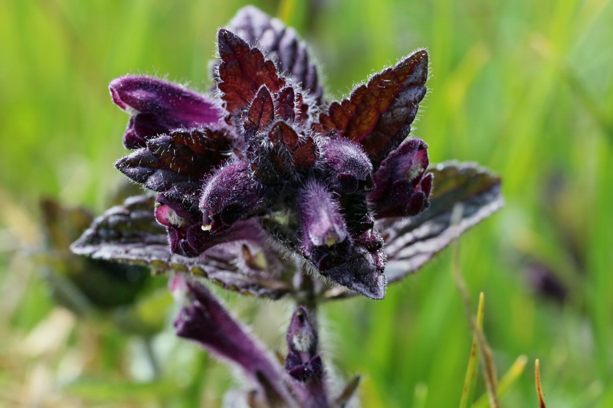 2016_06_29_020639p_Bildgr��e �ndern