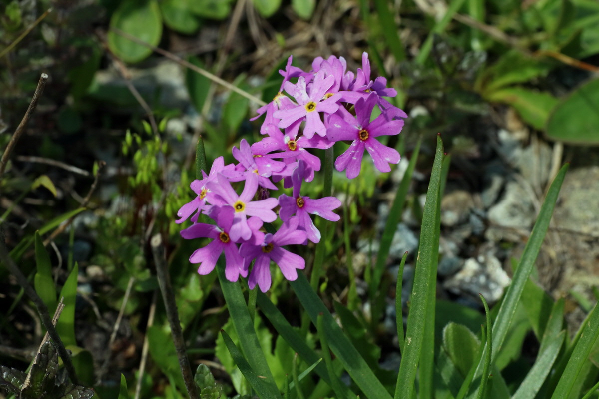 2016_06_29_020642p_Bildgr��e �ndern