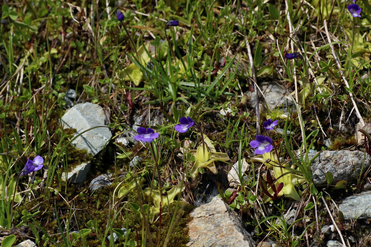 2016_06_29_020648p_Bildgr��e �ndern