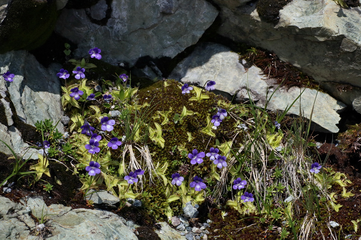 2016_06_29_020657p_Bildgr��e �ndern