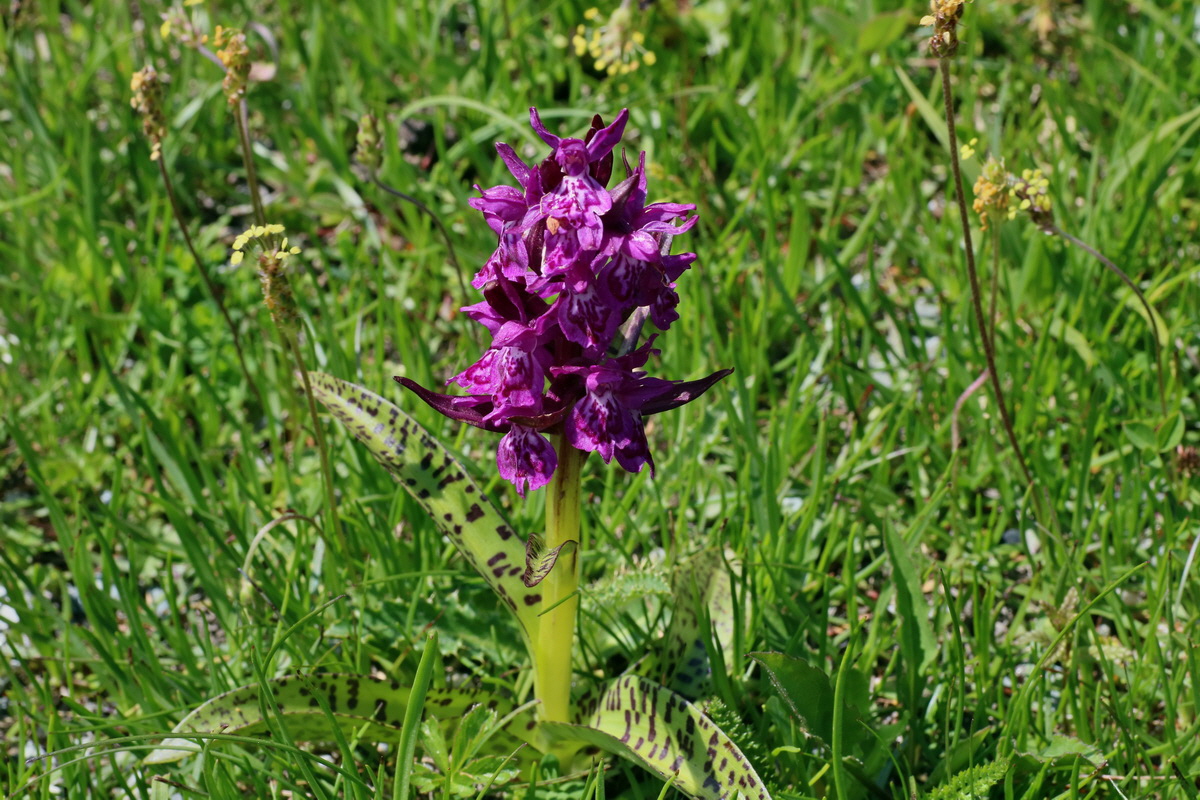 2016_06_29_020660p_Bildgr��e �ndern