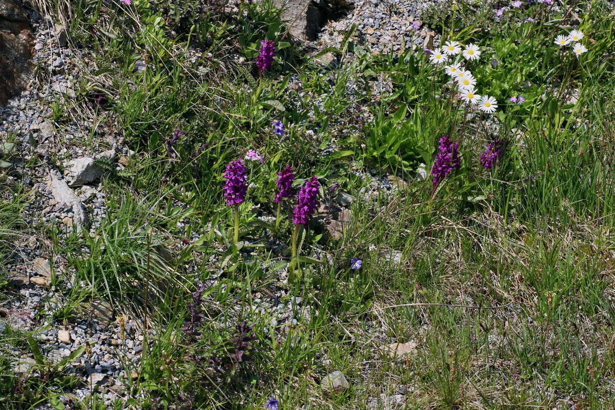 2016_06_29_020666p_Bildgr��e �ndern