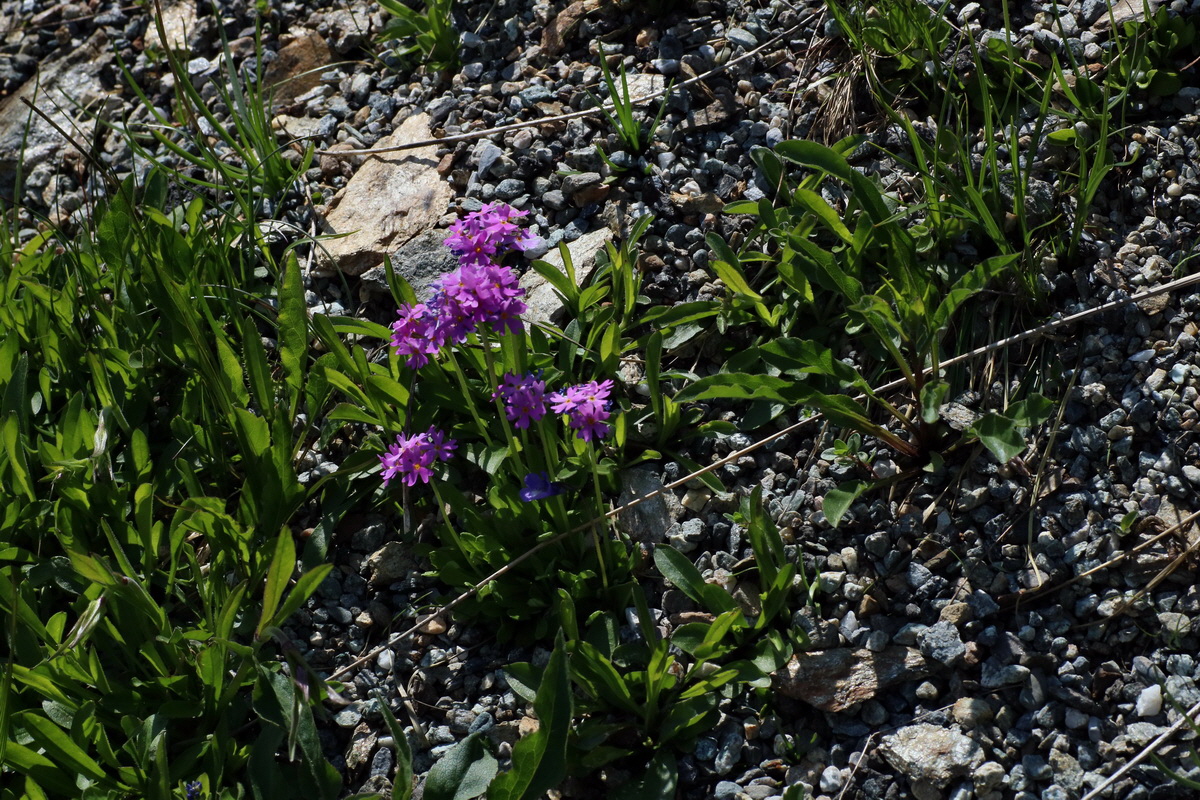 2016_06_29_020670p_Bildgr��e �ndern