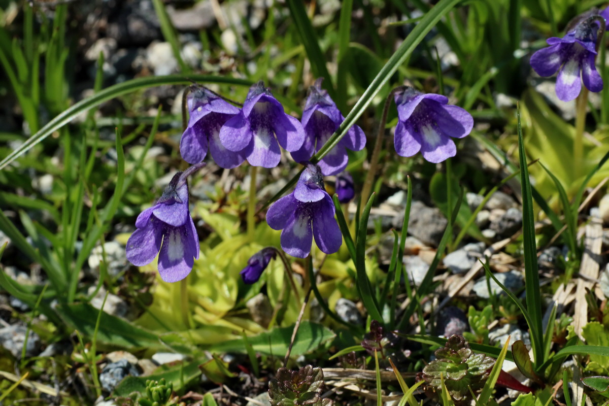 2016_06_29_020671p_Bildgr��e �ndern