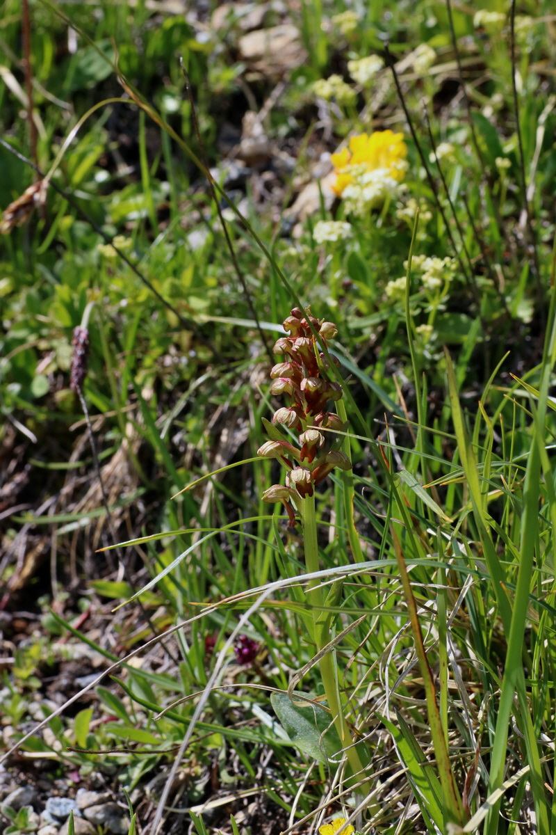 2016_06_29_020678p_Bildgr��e �ndern