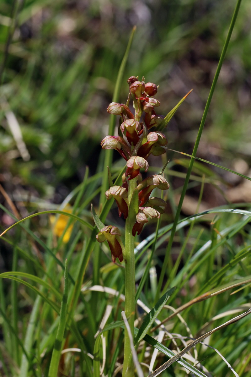 2016_06_29_020682p_Bildgr��e �ndern