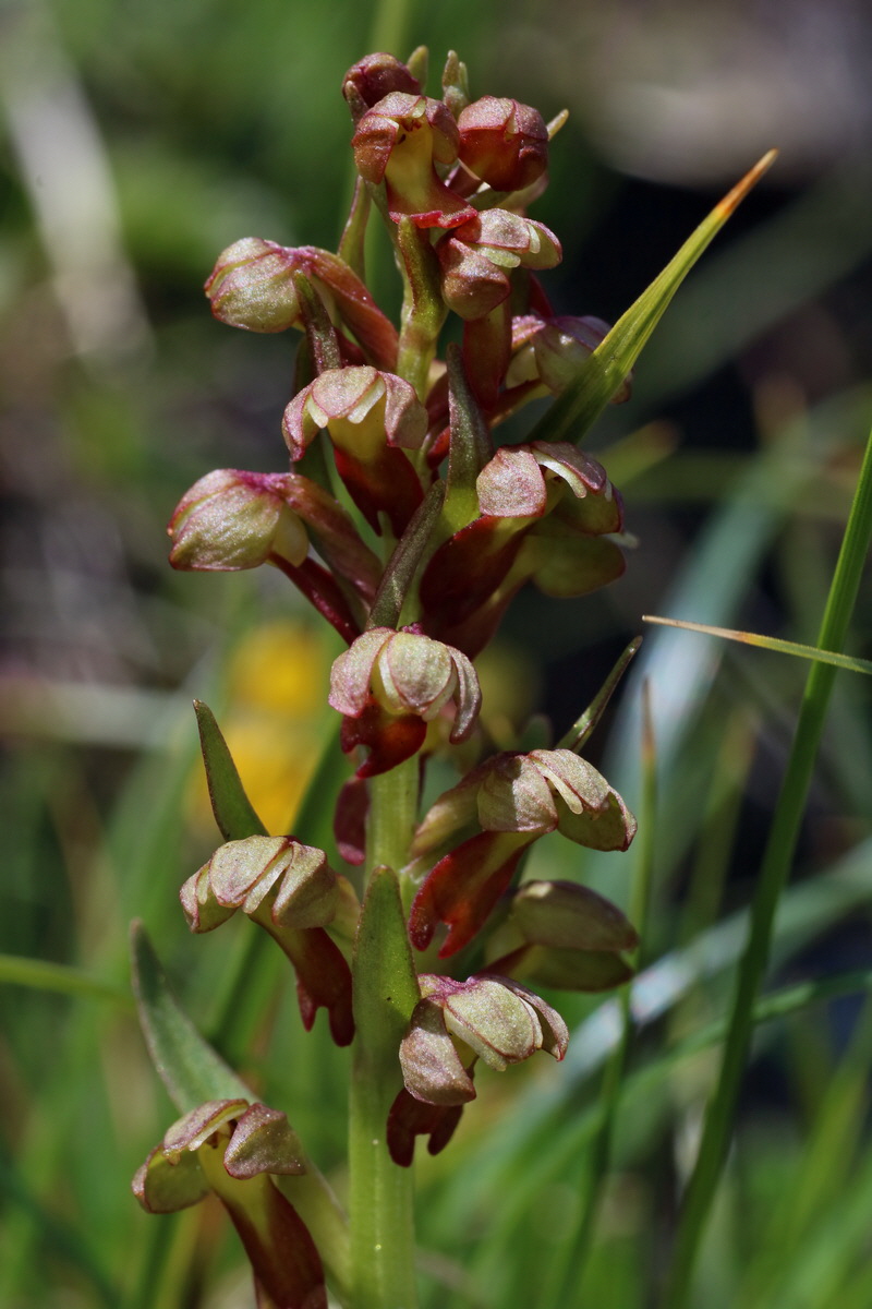 2016_06_29_020690p_Bildgr��e �ndern