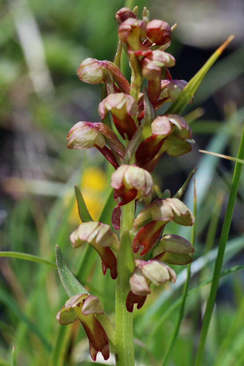 2016_06_29_020694p_Bildgr��e �ndern