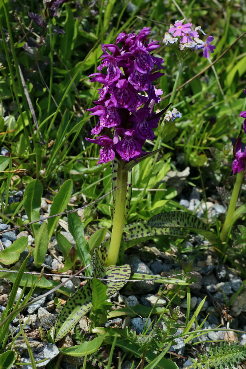 2016_06_29_020699p_Bildgr��e �ndern