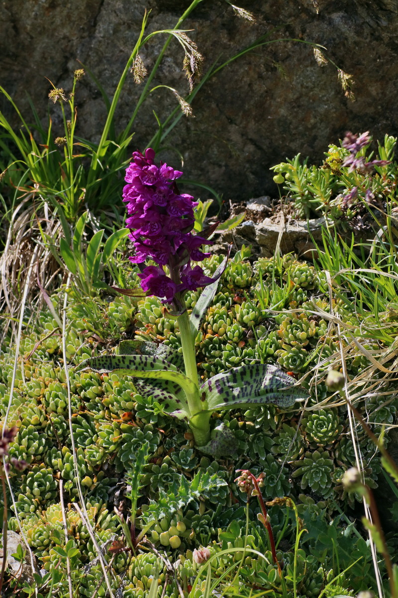 2016_06_29_020706p_Bildgr��e �ndern