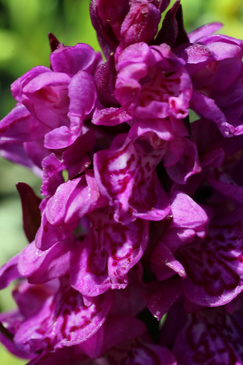 2016_06_29_020713p_Bildgr��e �ndern